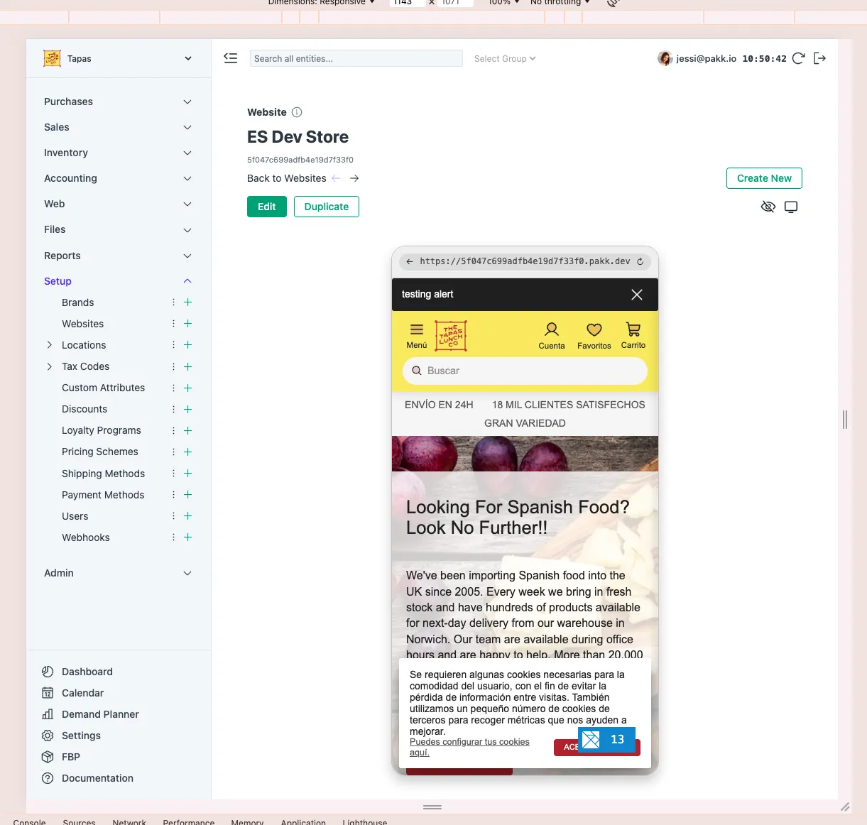 Website settings with mobile preview